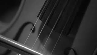 The Bow on the string. Bowed violin string in slow motion A open string
