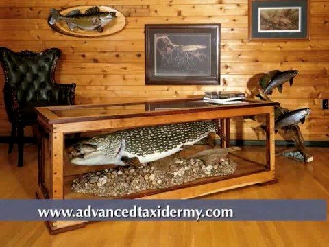 Taxidermy Fish Mounts Fish Mounts fish mounted Replicas Replica 