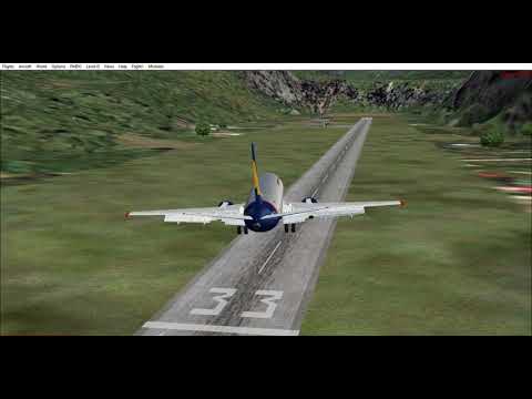Microsoft Flight Simulator