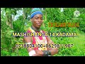 2025 MASHISHANGA KADAMA 0738804100