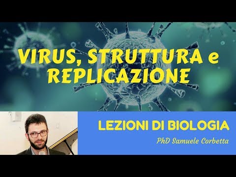 Video: Dove si possono trovare i provirus?