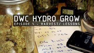 DWC Hydroponic Cannabis Grow Ep 5. Harvest \& Cure