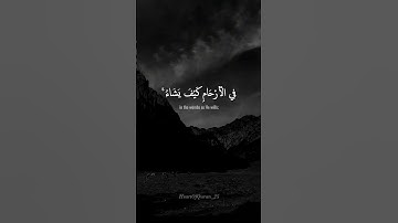 سورة آل عمران || آية 5-6 || صفحة 50 بصوت عبدالرحمن مسعد