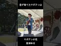 財津和夫『サボテンの花』 #shorts