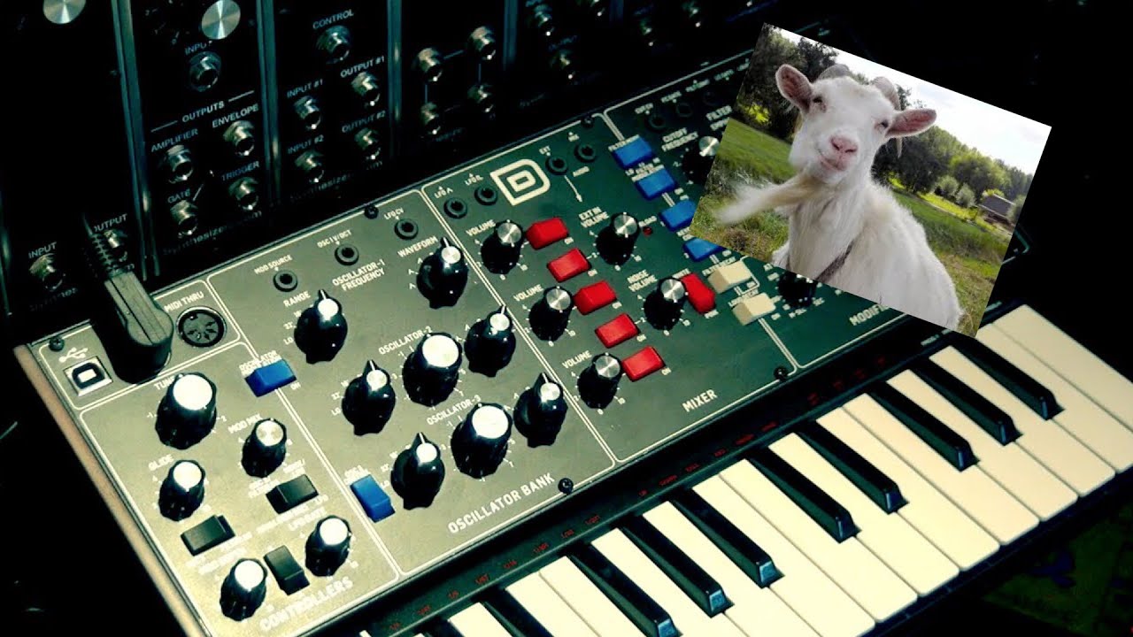 Behringer Model D, Best Budget Mono Analog? The GOAT? YouTube