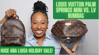 Bum Bag vs. Palm Springs Mini Backpack  LOUIS VUITTON BAG COMPARISON + MOD  SHOTS 