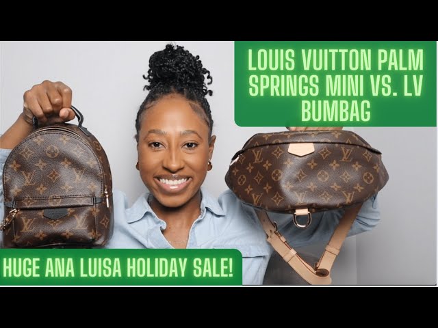 Bum Bag vs. Palm Springs Mini Backpack  LOUIS VUITTON BAG COMPARISON + MOD  SHOTS 