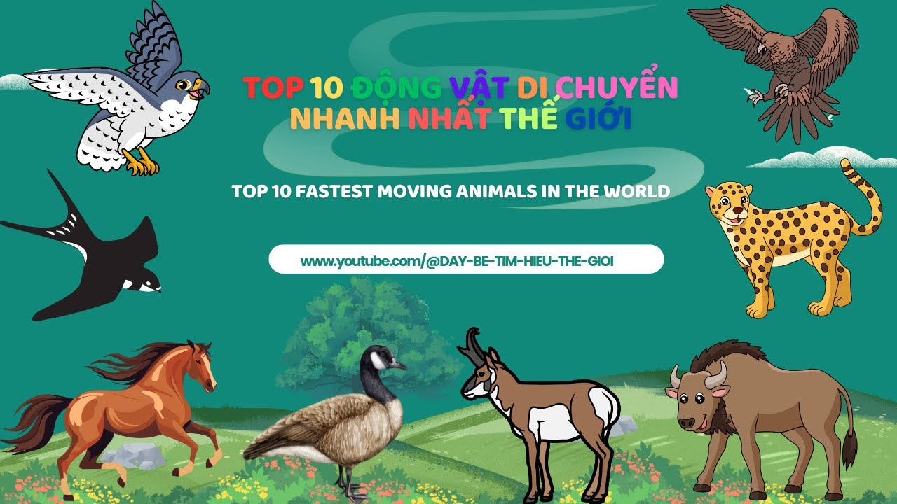 TOP 10 ĐỘNG VẬT DI CHUYỂN NHANH NHẤT THẾ GIỚI / TOP 10 FASTEST MOVING ...