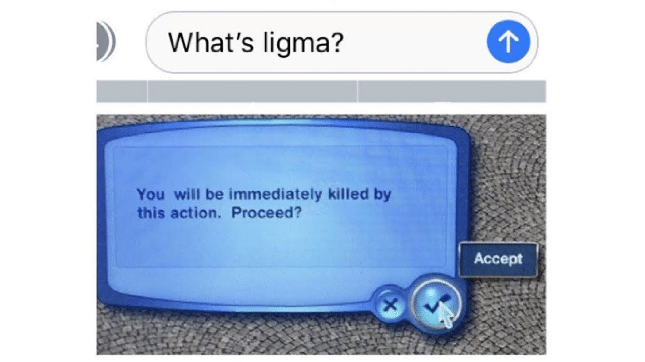 25 Best Ligma Jokes, Ligma Joke Variants & Memes - The (mostly) Simple Life