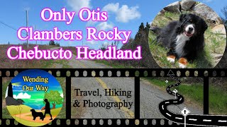 Bernese Mountain Dog | Only Otis Monday Meander | Chebucto Head Lighthouse, Nova Scotia, Canada