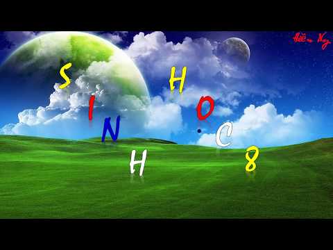 Video Bài 62: THỤ TINH, THỤ THAI, VÀ PHÁT TRIỂN CỦA THAI (... - YouTube
