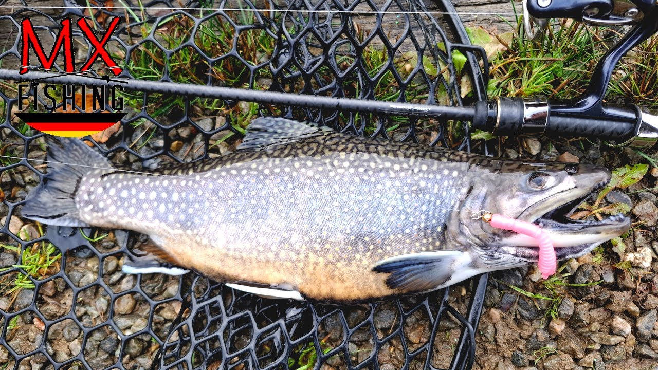 Ab in den Herbst!/ Saiblinge auf Spoons und Gummi/ Forellen fischen mit Kunstködern/ Trout Area