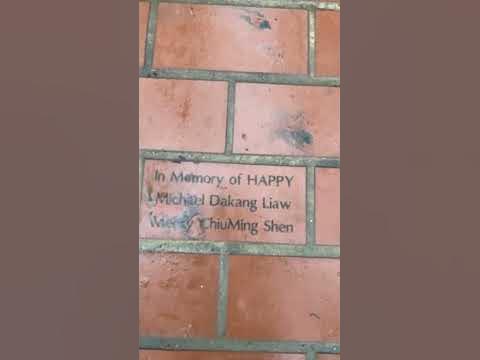 Dreams Sidewalk - YouTube