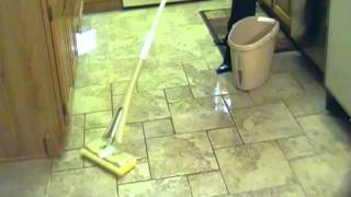 Butterfly Mop by Quickie