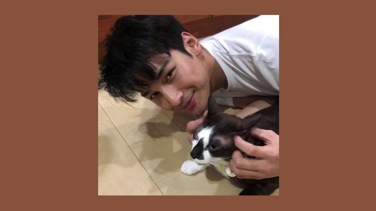 Apo Nattawin & his love for animals 🐱🐶