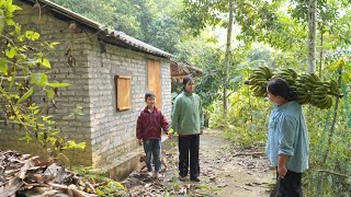 Harvesting Cavendish bananas, two bananas were taken to a market stall.