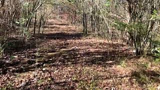 Abandoned Road Marshall County, Alabama