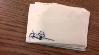 Macbeth animation