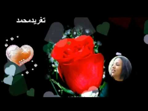 امال النور الحزن القديم تغريد محمد