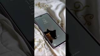 aesthetic custom pets theme for android #aesthetic #custom #themes #cat screenshot 1