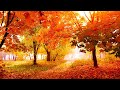 Relaxing Beautiful Instrumental Music, Peace Instrumental Music "Flowers in October" By Tim Janis