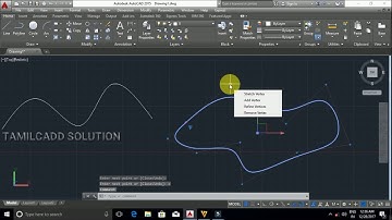 AutoCAD Draw Tool -- Donut ,  Splines-- Fit Points, Control Vertices--Tamil