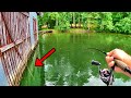 BIG FISH LURKING AROUND PANFISH BEDS!!! (How To Catch Them!)