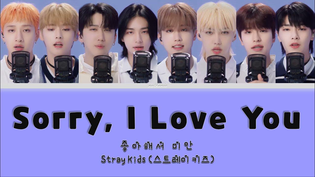 текст sorry i love you stray. I love stray kids. Sorry i love you stray kids. текст sorry i love you stray. Stray kids sorry i love you кроейский текст.