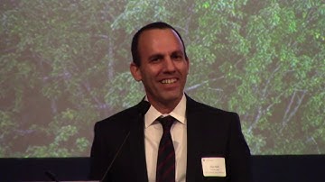 Artificial Intelligence: The next decade