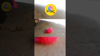 Crushing Crunchy & Soft Things by Car! - Floral Foam, Squishy, Tide Pods and More! screenshot 4