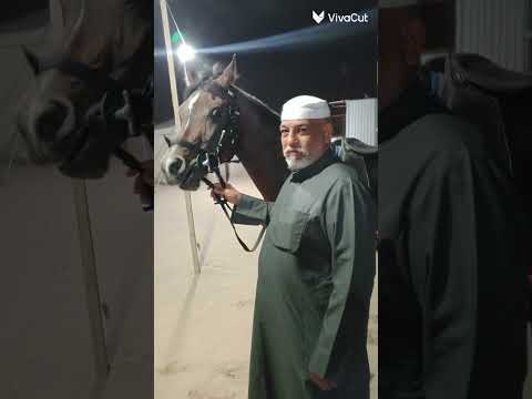 الفارس والشيخ علي حسين لازم معيون ابن باشك الشريفي شيوخ عشائر شريفات الباشك