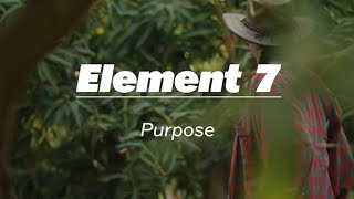 Element 7 - Purpose