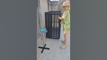 CÂN HEO LỢN HƠI MỘT CON DẠNG LÙA,CÂN ĐIỆN TỬ,KÍCH THƯỚC 65×1M3 , LỒNG VUÔNG CAO 1M1