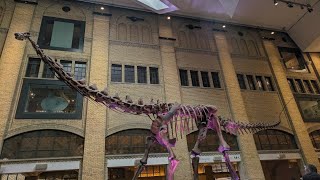 Royal Ontario Museum #chilenosencanada #dinosaurus #arte #canada #toronto #chile #canadavlogs