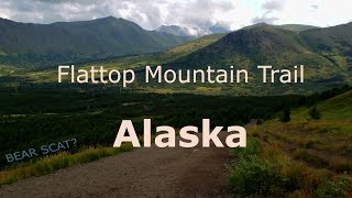 Alaska Vlog: Umm... is that BEAR POOP on the trail??? - Flattop Mountain Hiking in Alaska