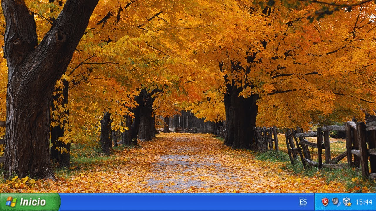 El wallpaper más misterioso de Windows XP