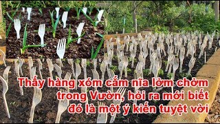 Thấy hàng xóm cắm nĩa lởm chởm trong Vườn Rau, hỏi ra mới biết đó là một ý kiến tuyệt vời