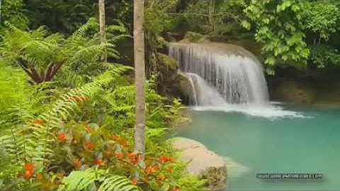 الرقية الشرعية للشيخ محمد الصريدي