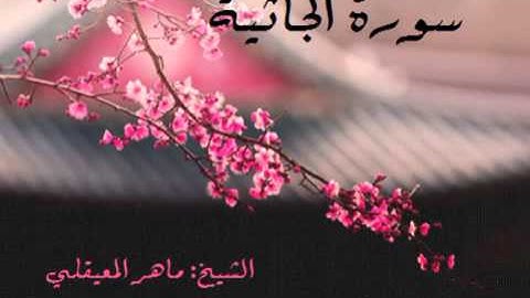 سورة الجاثية l الشيخ: ماهر المعيقلي HD