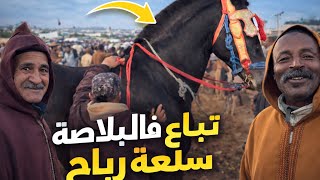 بادريس وباجيلالي شراو جدع مليح وباعوه فالبلاصة ودخلين خيول بالوريقات وباتمن مناسب 😃