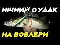 Нічний судак на воблери. Що йому треба?