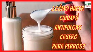 ✅ ¿Cómo Hacer Champú Antipulgas Casero Para Perros? ✅