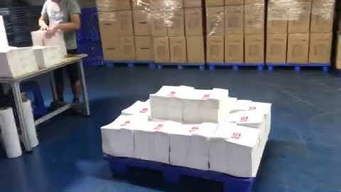 BWPS Auto Paper Bag Handle Pasting Machine