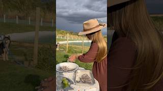 Manjubinha Pra Nós E Pra Eles