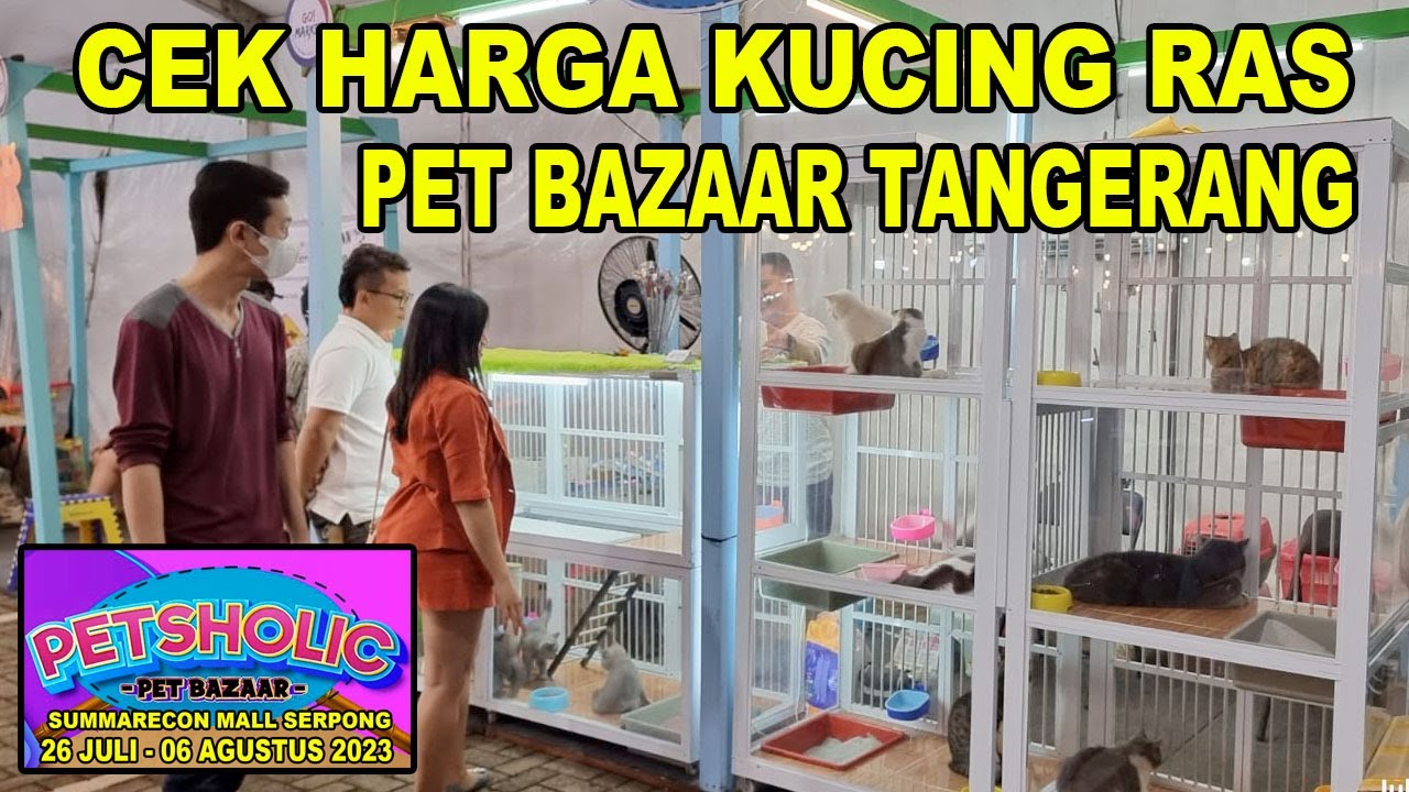Cek Harga Kucing Ras Di Pet Bazaar Tangerang - Petsholic Summarecon Mall Serpong