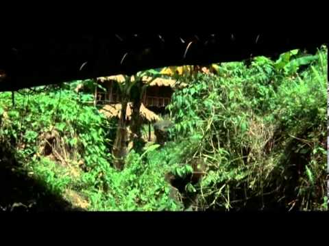 Portés Disparus 2: Pourquoi ? - [Film] - 1985