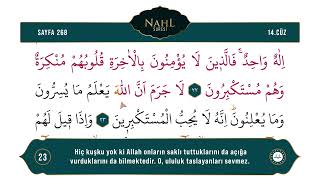 Diyanet Ok Takipli Hatim 14. Cüz - Kur'an-ı Kerim 268. Sayfa - Nahl Suresi 15-26. Ayetler