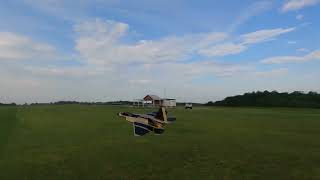  Freewing F-22 Raptor 90mm 6S