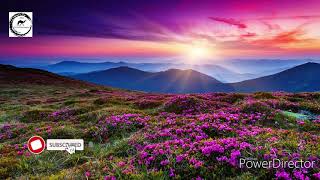 Goronta - Abtam Qadayro