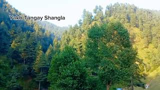 The Beauty Of Yakh Tangi, Shangla District Pakistan screenshot 2